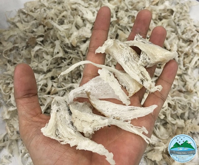 Cách làm chân yến thô Cách làm chân yến thô