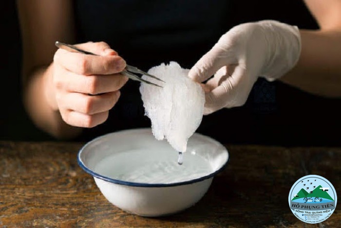 cách làm lông yến thô cách làm lông yến thô