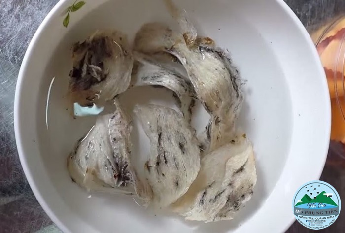 cách làm lông yến thô cách làm lông yến thô