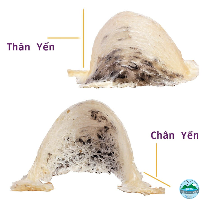 Cách làm sạch chân yến Cách làm sạch chân yến