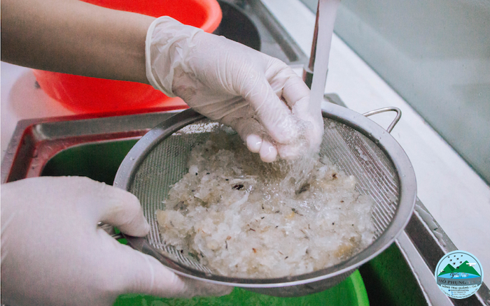 Cách làm sạch lông tổ yến nhanh nhất Cách làm sạch lông tổ yến nhanh nhất