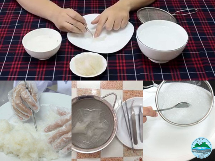 cách làm sạch lông trong tổ yến cách làm sạch lông trong tổ yến