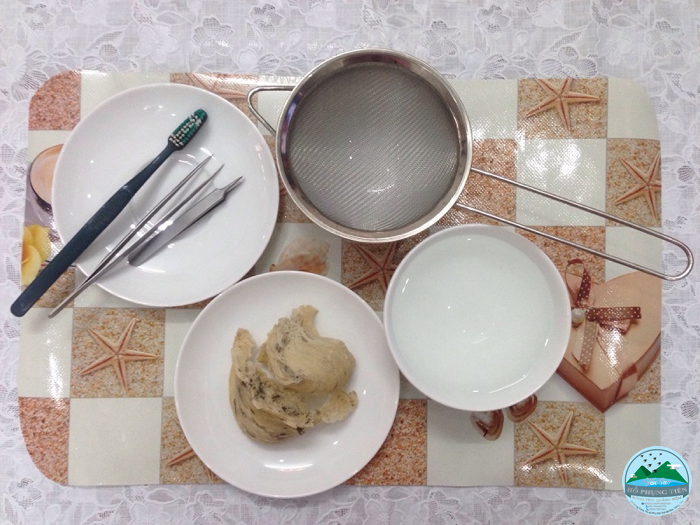 cách làm sạch lông yến sào cách làm sạch lông yến sào