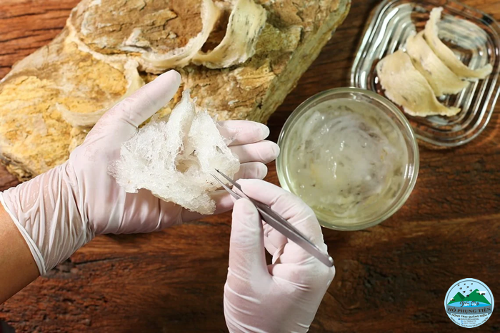 cách làm sạch lông yến sào cách làm sạch lông yến sào