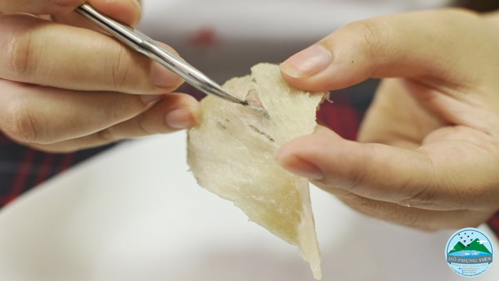 cách làm sạch tổ yến khô cách làm sạch tổ yến khô