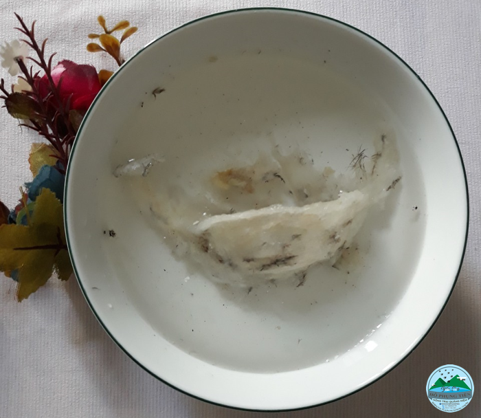 cách làm sạch tổ yến thô cách làm sạch tổ yến thô