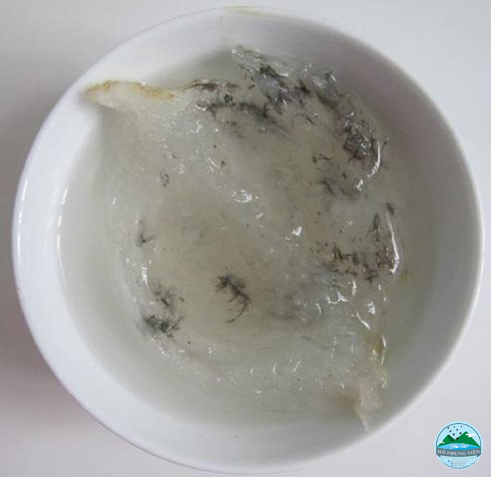 cách làm sạch tổ yến cách làm sạch tổ yến