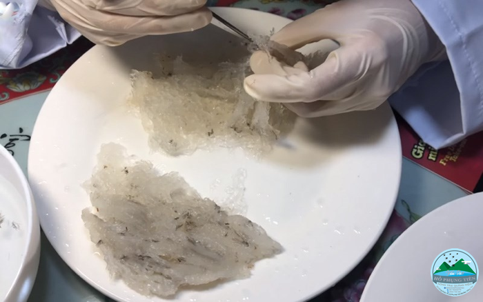 Cách làm sạch yến thô nhanh nhất Cách làm sạch yến thô nhanh nhất