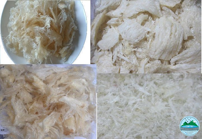 Cách làm sạch yến vụn Cách làm sạch yến vụn