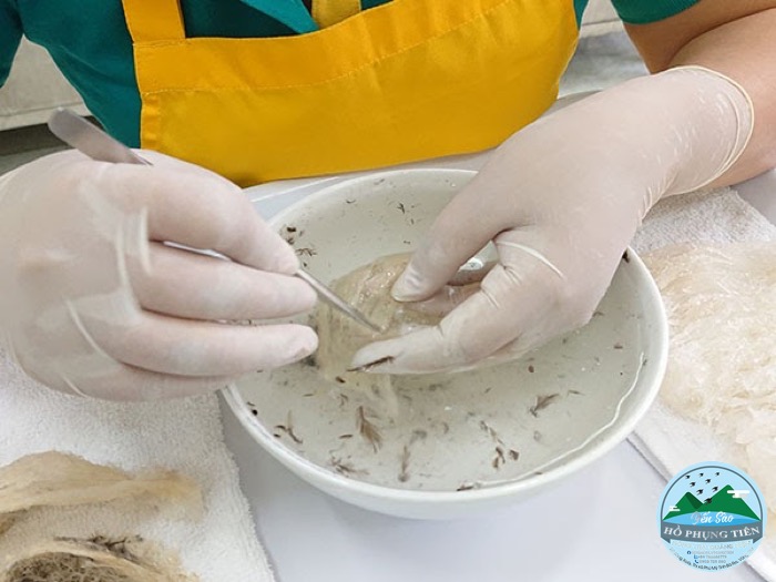 cách làm tổ yến thô cách làm tổ yến thô