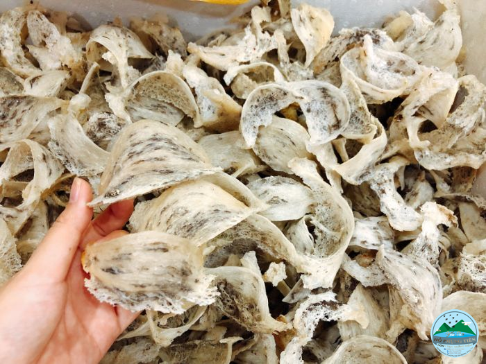 Cách làm tổ yến tinh chế Cách làm tổ yến tinh chế