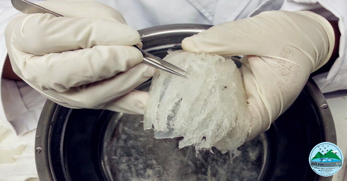 Cách làm tổ yến Cách làm tổ yến