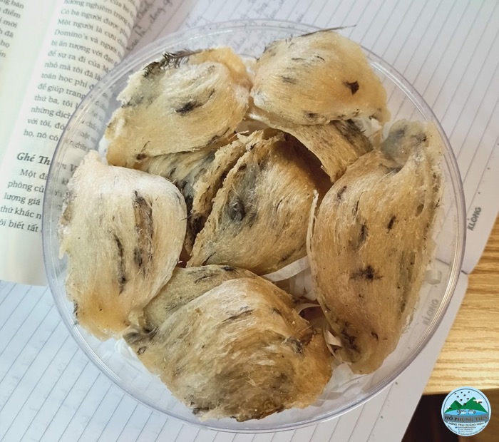 Cách phân biệt tổ yến thật hay giả Cách phân biệt tổ yến thật hay giả