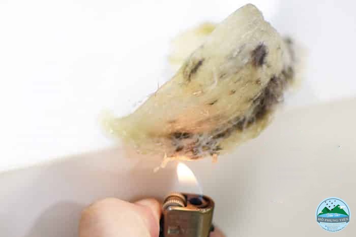 Cách phân biệt tổ yến thật hay giả Cách phân biệt tổ yến thật hay giả