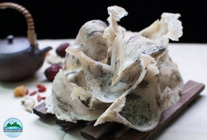 cách phân biệt yến thật giả cách phân biệt yến thật giả