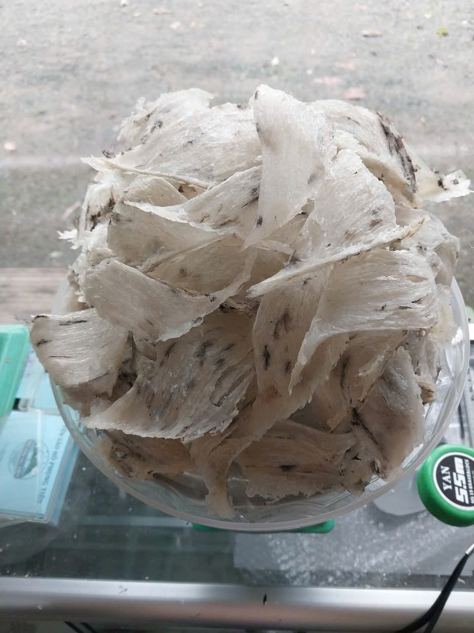 tổ yến thô tổ yến thô