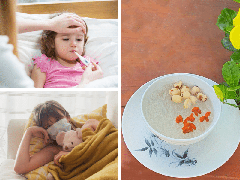 Cách sử dụng yến sào cho người bệnh Cách sử dụng yến sào cho người bệnh