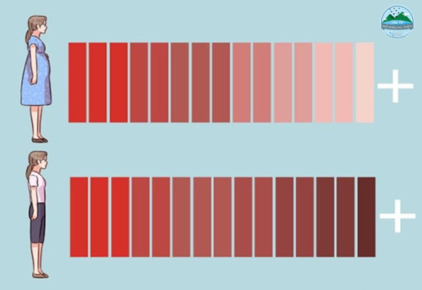 Chăm sóc sau sinh Chăm sóc sau sinh