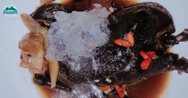 Chế biến yến Chế biến yến