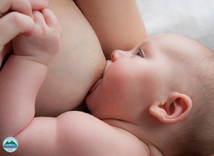 Cho con bú đúng cách để sữa về nhiều Cho con bú đúng cách để sữa về nhiều