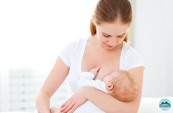 Cho con bú đúng cách để sữa về nhiều Cho con bú đúng cách để sữa về nhiều