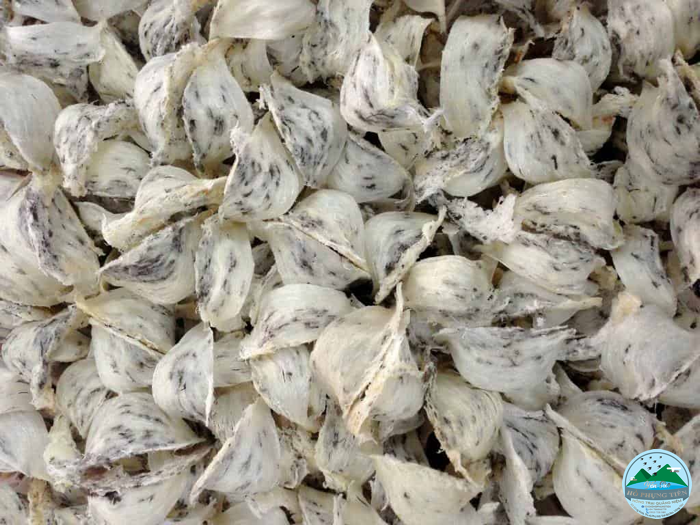 Có mấy loại yến sào Có mấy loại yến sào