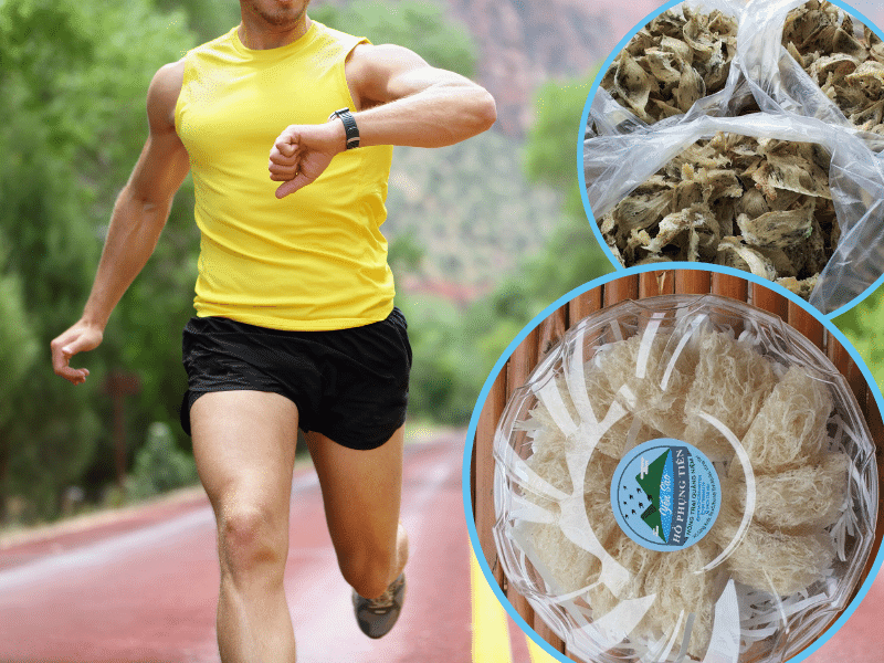 Yến sào được xem là một dược phẩm hỗ trợ điều trị rối loạn chức năng tình dục, đặc biệt là bệnh liệt dương và lãnh cảm Yến sào được xem là một dược phẩm hỗ trợ điều trị rối loạn chức năng tình dục, đặc biệt là bệnh liệt dương và lãnh cảm