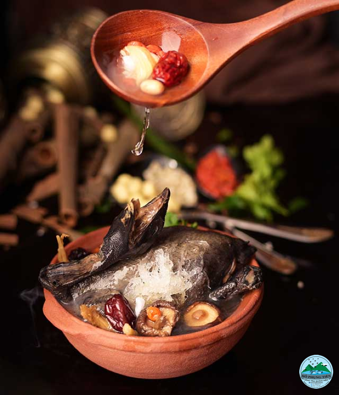 Công dụng của yến sào đối với người già Công dụng của yến sào đối với người già