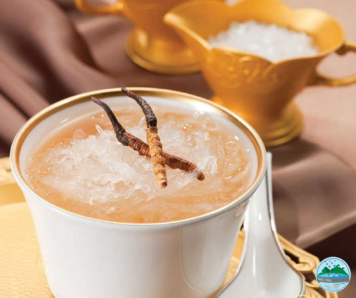 Công dụng của yến sào đối với người già Công dụng của yến sào đối với người già