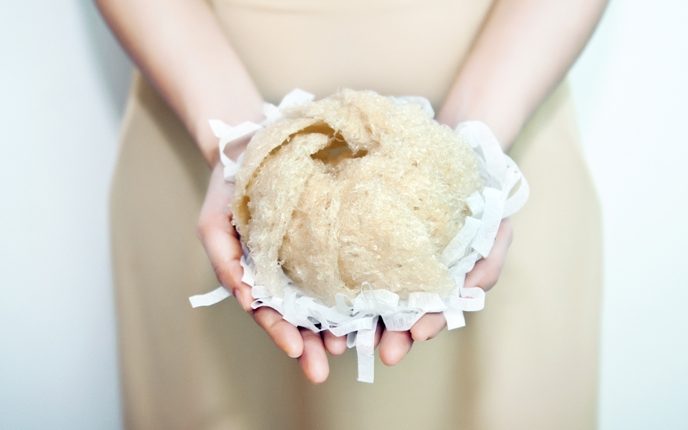 Công dụng của yến sào với làn da Công dụng của yến sào với làn da