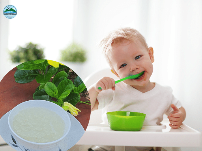 Công dụng yến sào cho trẻ em Công dụng yến sào cho trẻ em