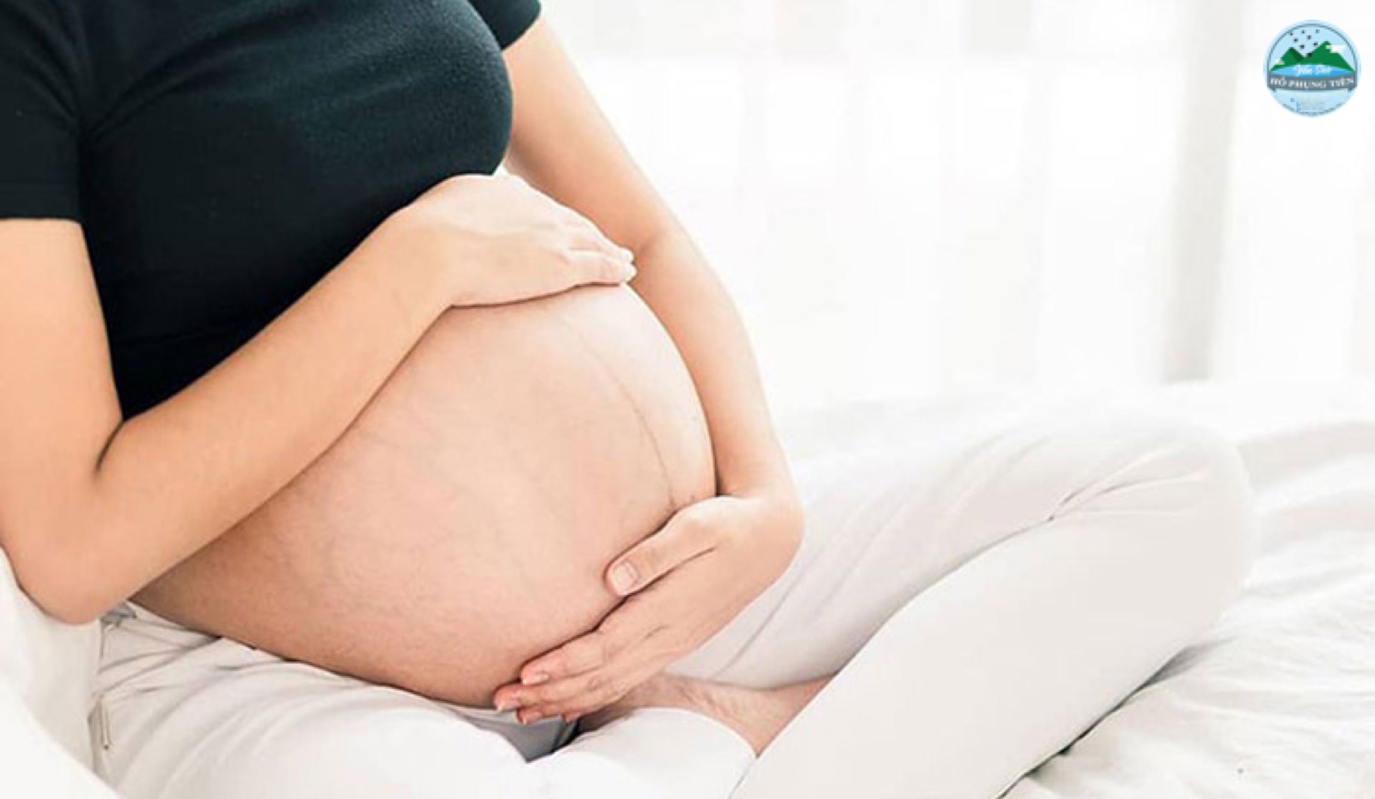 Công dụng yến sào đối với bà bầu Công dụng yến sào đối với bà bầu