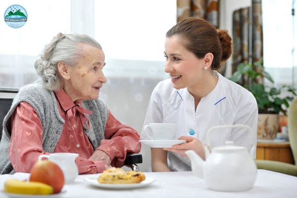 Công dụng yến sào đối với người già Công dụng yến sào đối với người già