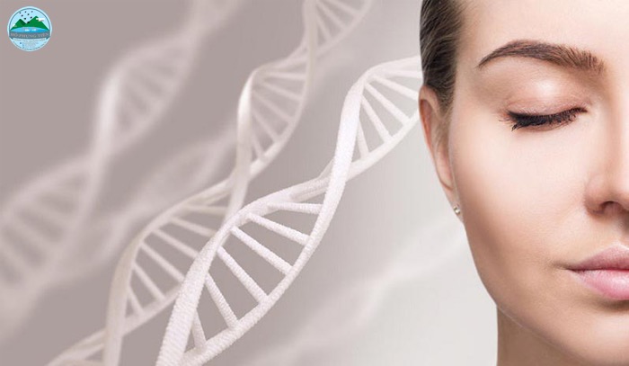 Công dụng yến sào đối với phụ nữ Công dụng yến sào đối với phụ nữ