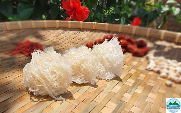 công dụng yến sào trẻ em