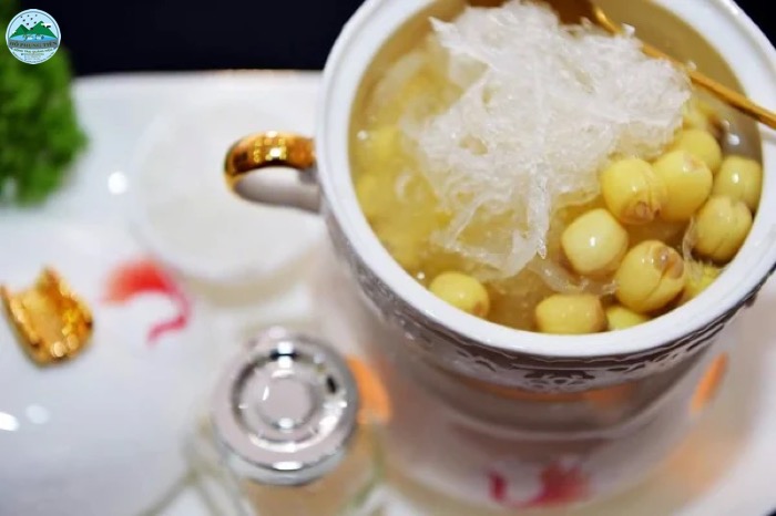 Địa chỉ mua yến sào uy tín Địa chỉ mua yến sào uy tín