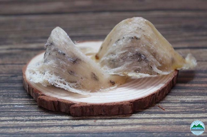 địa chỉ mua yến sào uy tín địa chỉ mua yến sào uy tín