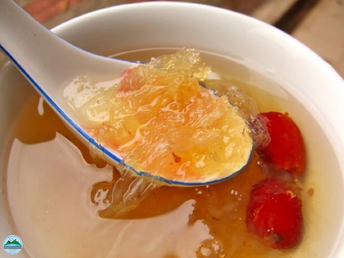 Dùng yến bao lâu thì có tác dụng Dùng yến bao lâu thì có tác dụng