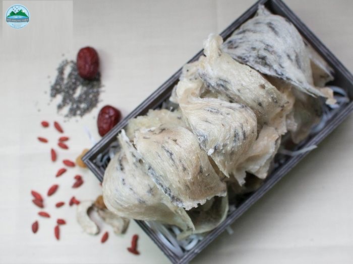 Giá tổ yến nguyên chất Giá tổ yến nguyên chất