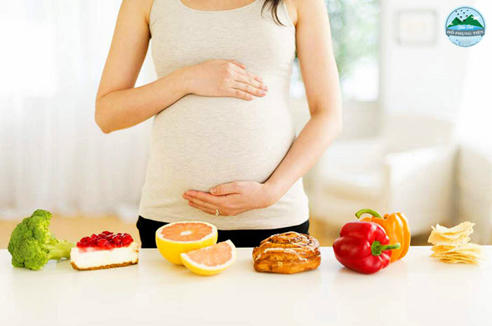 giá trị dinh dưỡng của tổ yến giá trị dinh dưỡng của tổ yến