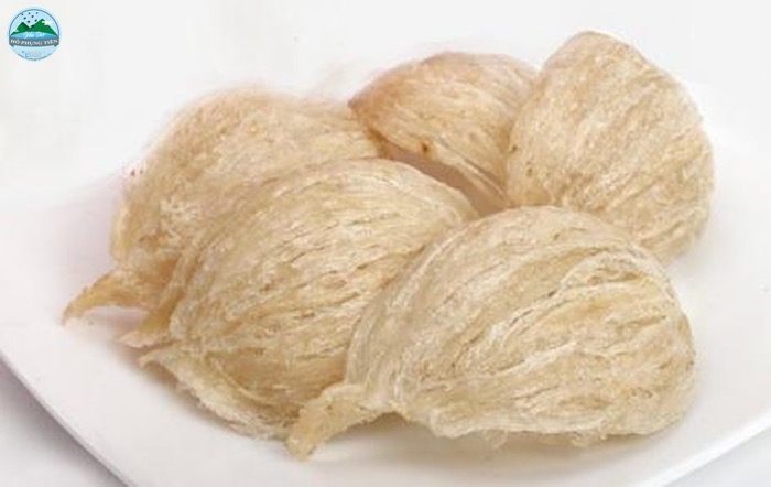 Hạn sử dụng yến sào Hạn sử dụng yến sào