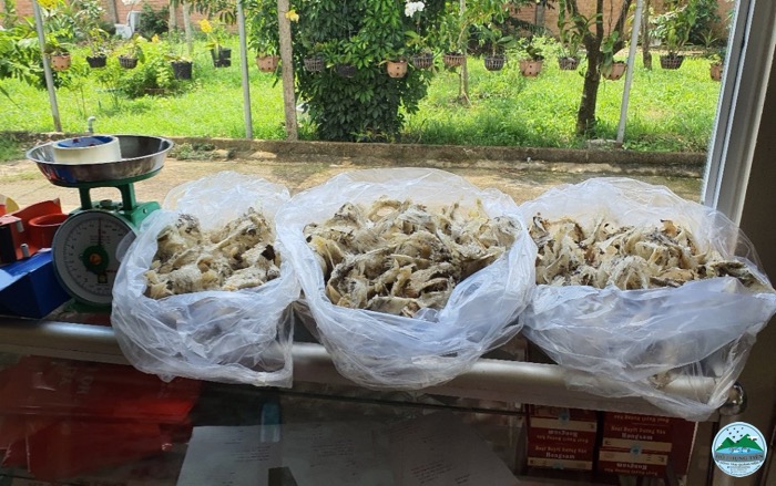 Hạn sử dụng yến sào Hạn sử dụng yến sào