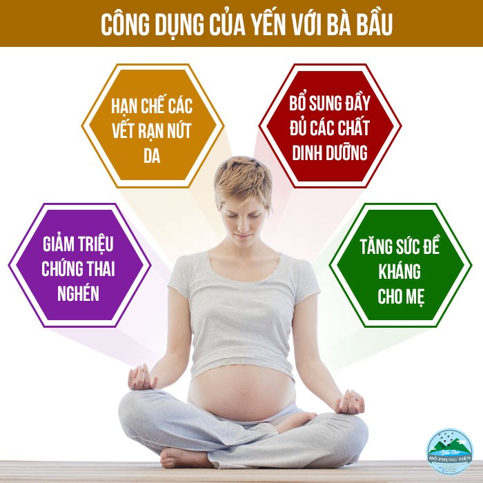 Hướng dẫn cách chưng yến cho bà bầu Hướng dẫn cách chưng yến cho bà bầu