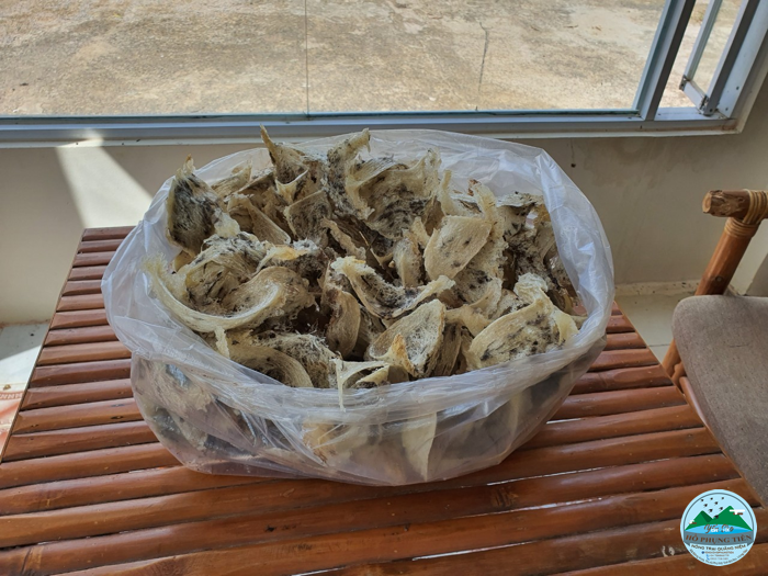 Hướng dẫn cách chưng yến cho bé Hướng dẫn cách chưng yến cho bé