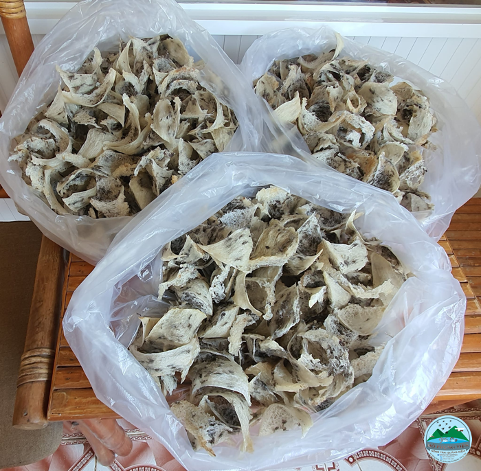 Hướng dẫn cách chưng yến tươi Hướng dẫn cách chưng yến tươi