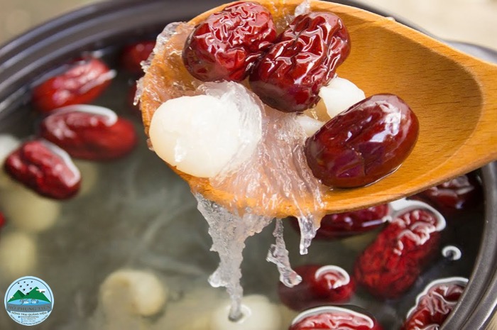 Hướng dẫn cách chưng yến Hướng dẫn cách chưng yến