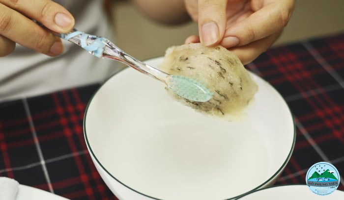 Hướng dẫn chưng yến đúng cách Hướng dẫn chưng yến đúng cách