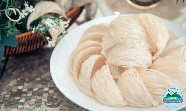 Hướng dẫn chưng yến sào Hướng dẫn chưng yến sào