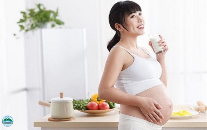 Khi nào cơ thể cần bổ sung yến Khi nào cơ thể cần bổ sung yến