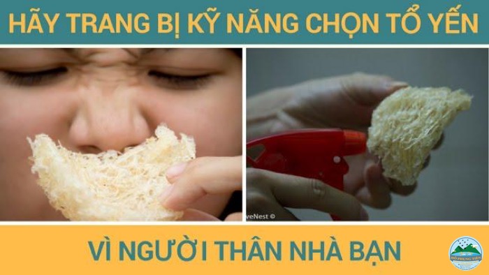 Kinh nghiệm mua yến sào Kinh nghiệm mua yến sào